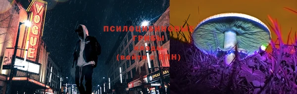 ГАЛЛЮЦИНОГЕННЫЕ ГРИБЫ Алексин